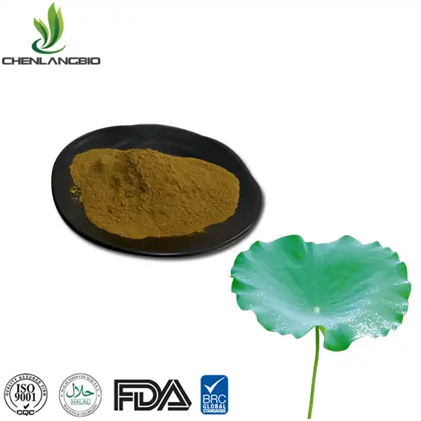 Lotus Leaf Extract Powder